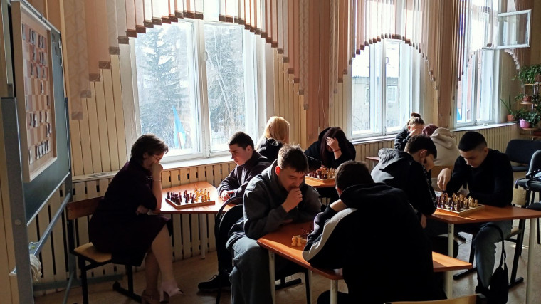 Шахматы.